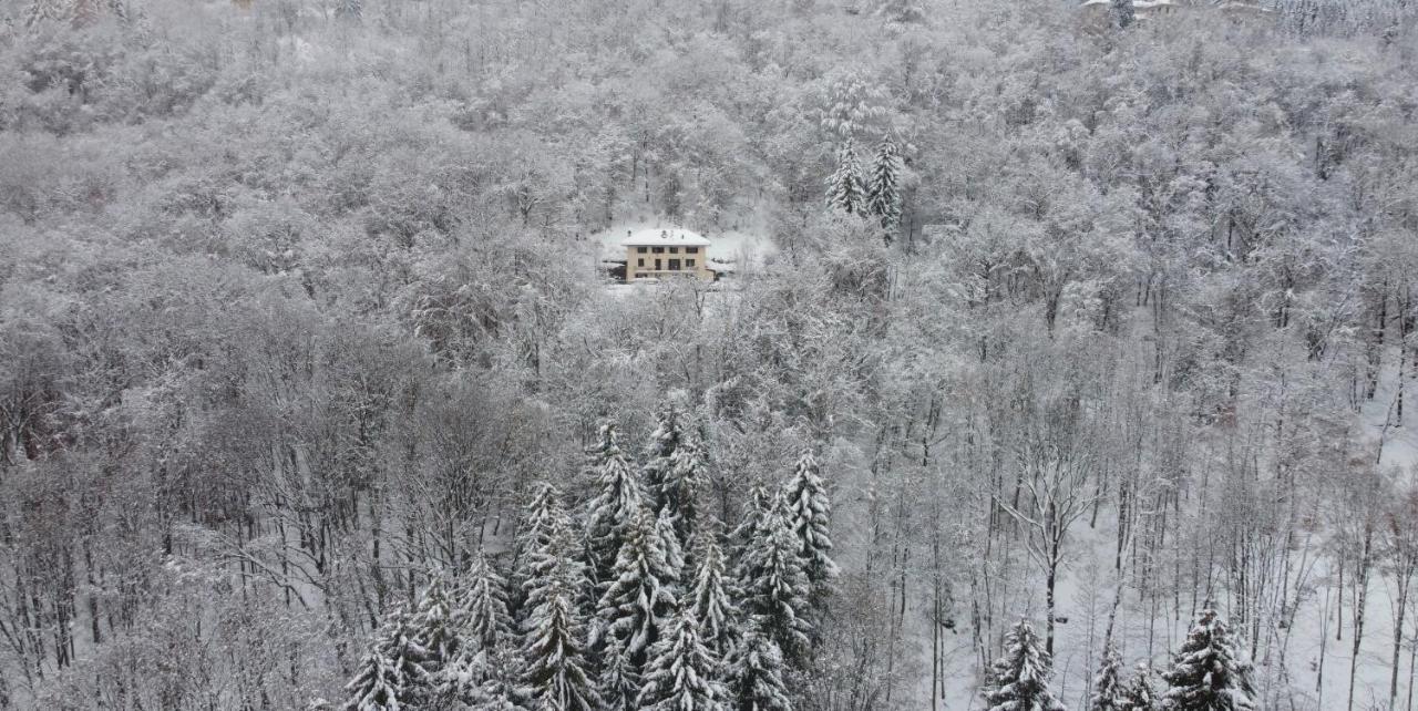 La Guardiana B&B Trivero Zewnętrze zdjęcie